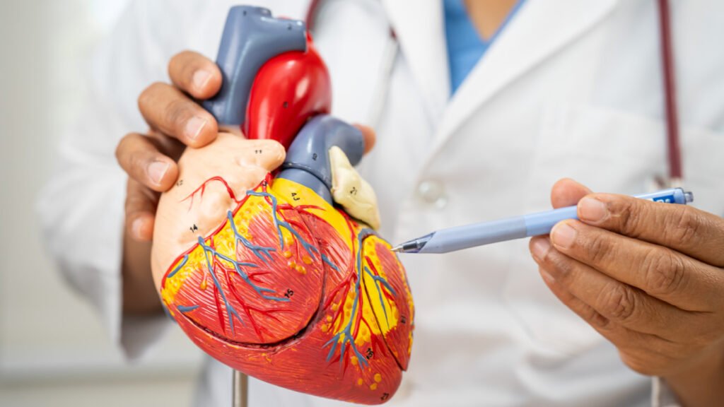 La relación entre la salud dental y los problemas cardiovasculares